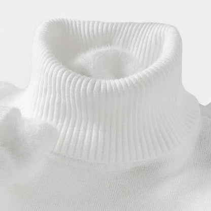 Herren Rollkragenpullover aus Wolle